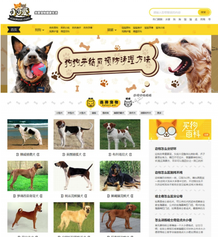 帝国CMS仿《小可爱宠物网》宠物资讯平台网站源码完整版+火车头采集+手机版